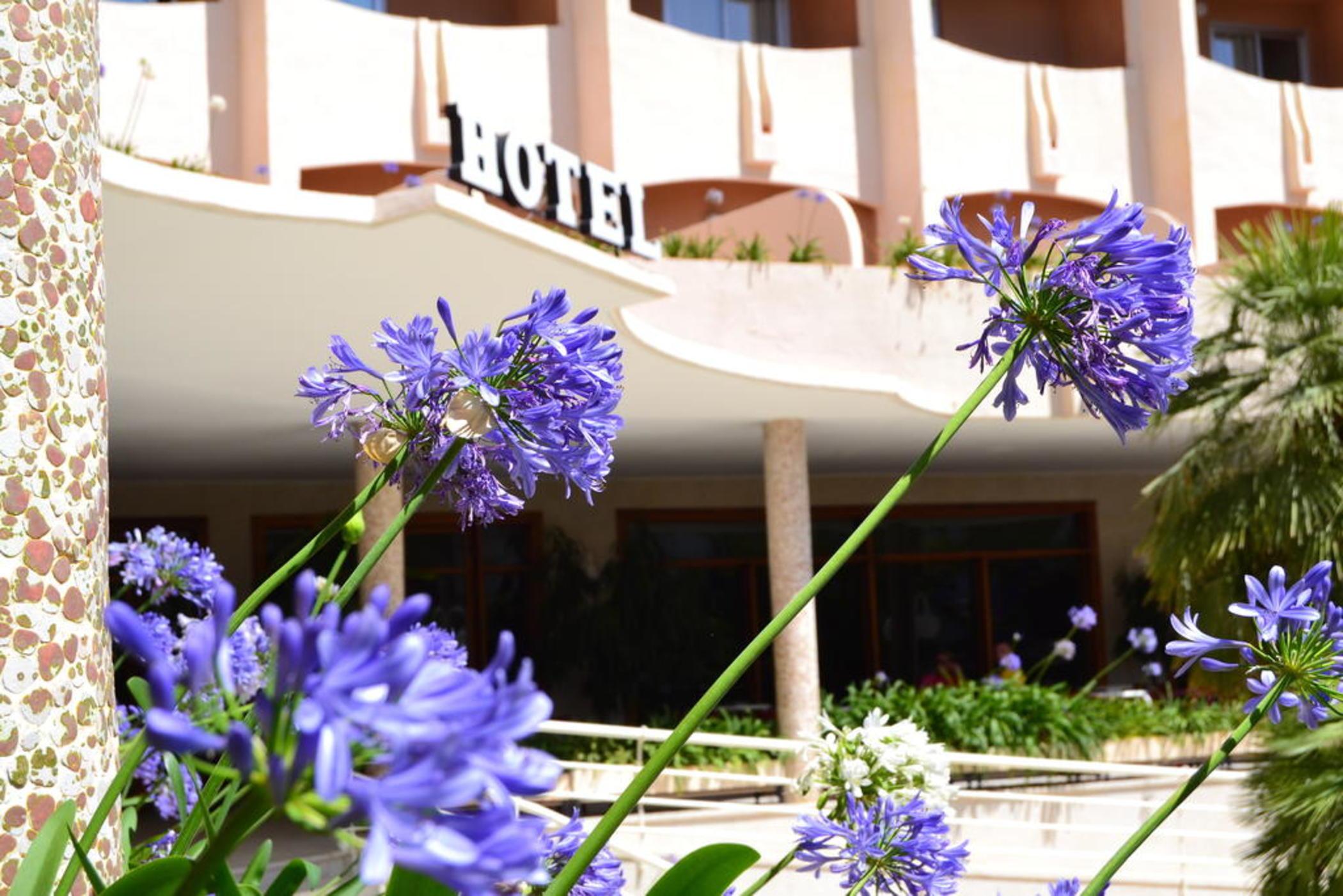 Hotel Los Robles Gandía Exterior foto